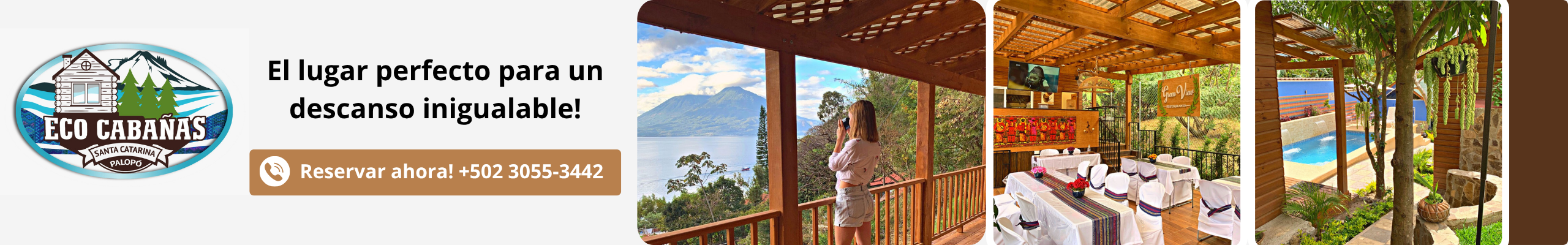 Google search engine