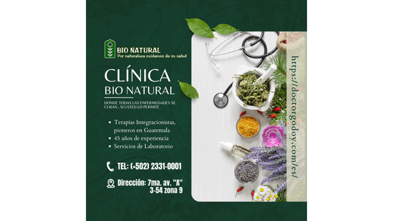 Google search engine