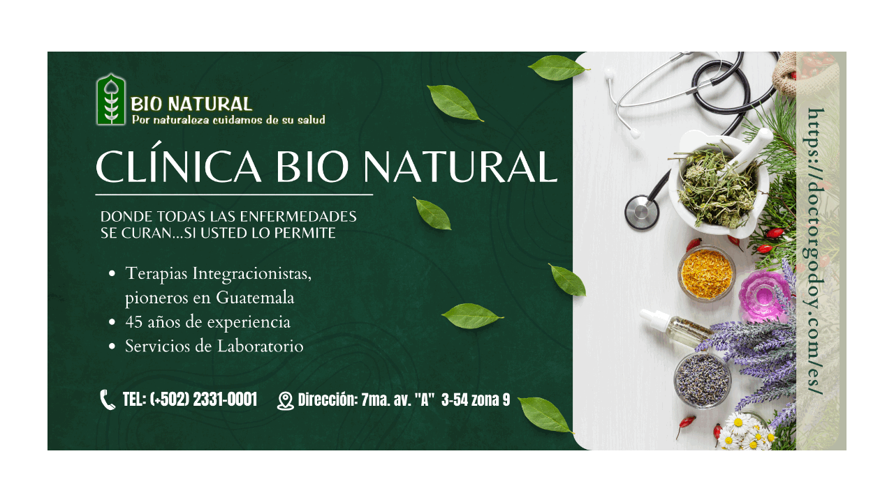 Google search engine