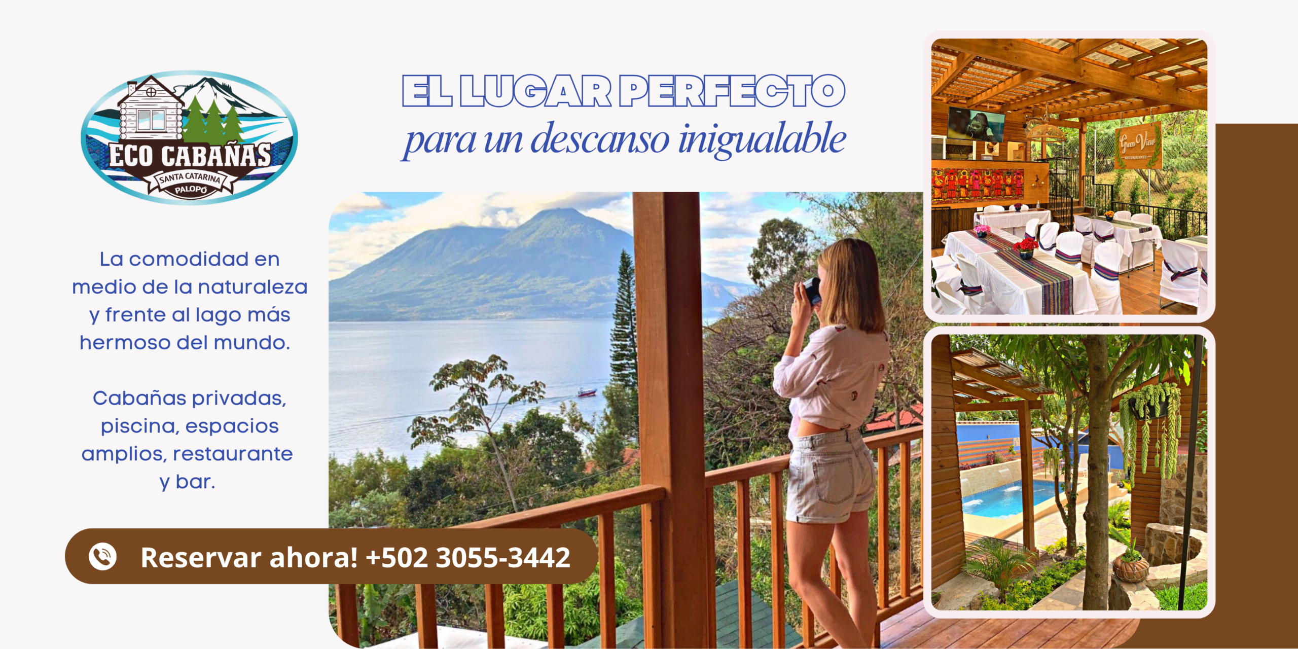 Google search engine