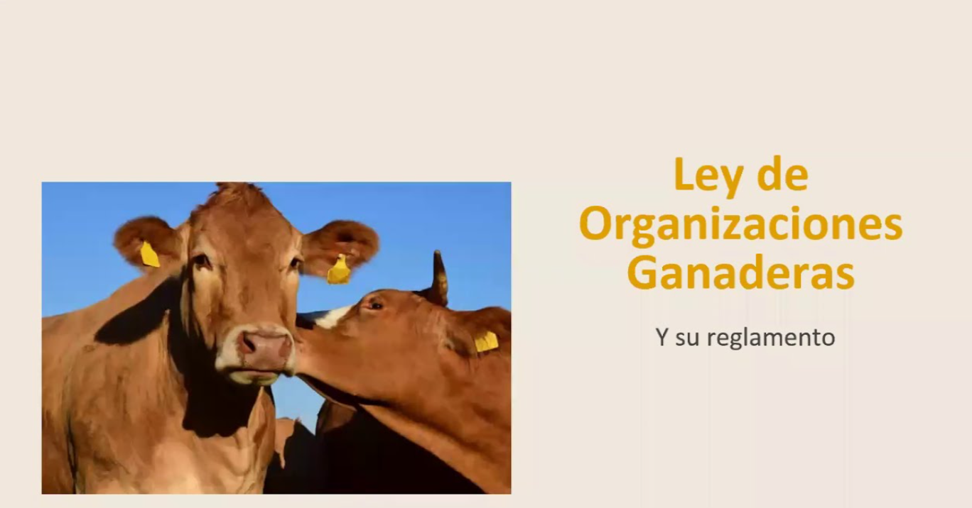 Finanzas oficializa reglamento de Ley Ganadera que entra en vigor en ocho días