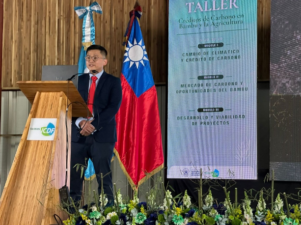 Guatemala y Taiwán impulsan el bambú como fuente d