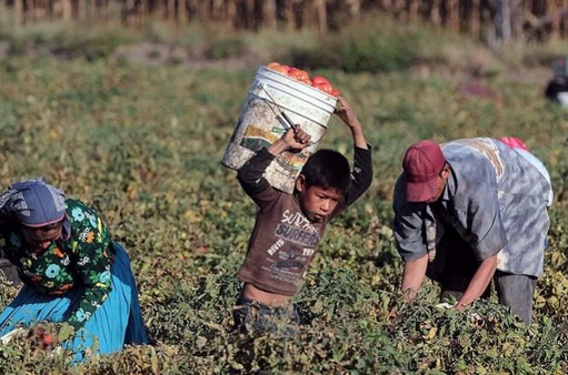 EE. UU. evalúa aranceles de hasta 12.5% a Guatemala por incumplimientos sobre trabajo forzoso