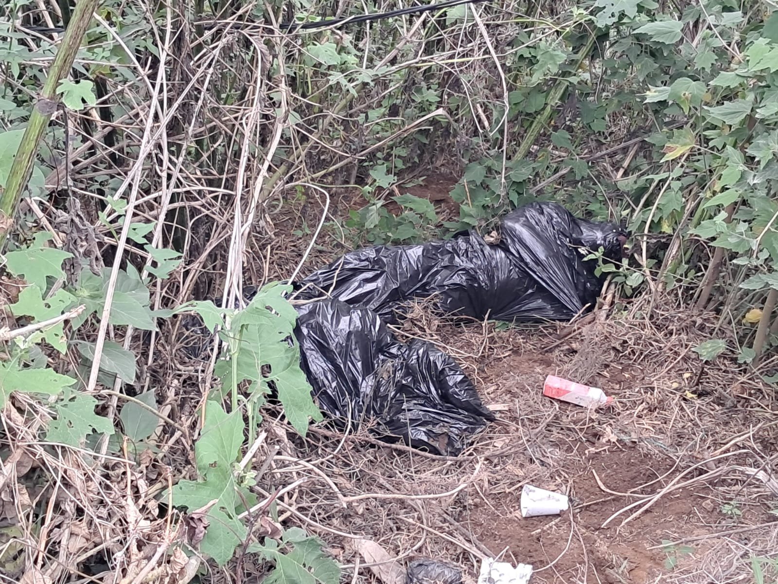 Localizan dos cuerpos envueltos en bolsas en San J